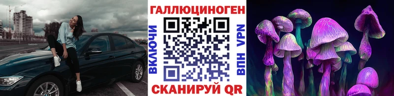 как найти закладки  Олёкминск  Галлюциногенные грибы MAGIC MUSHROOMS 